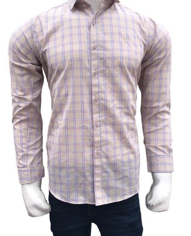 Slim Fit Check Casual Shirt